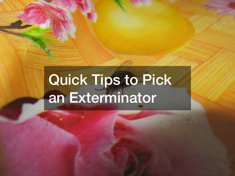 Quick Tips to Pick an Exterminator
