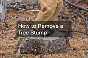 stump removal company