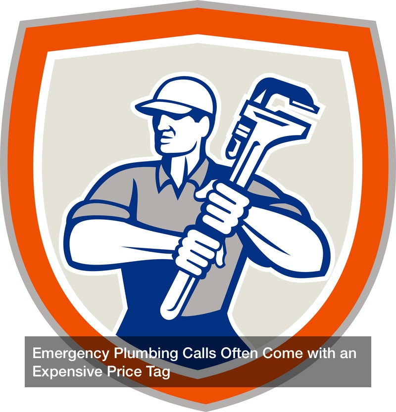 Emergency Plumbing Calls Often Come with an Expensive Price Tag