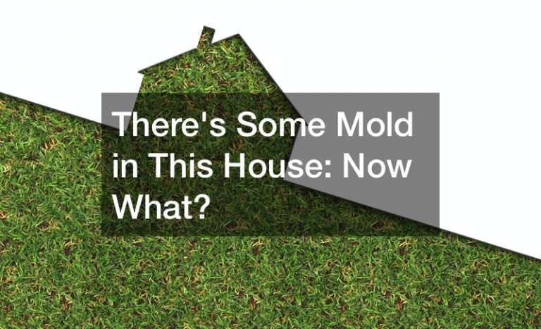 Theres Some Mold in This House: Now What?