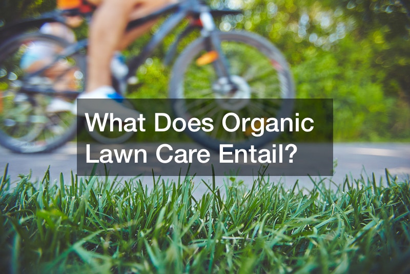 What Does Organic Lawn Care Entail?