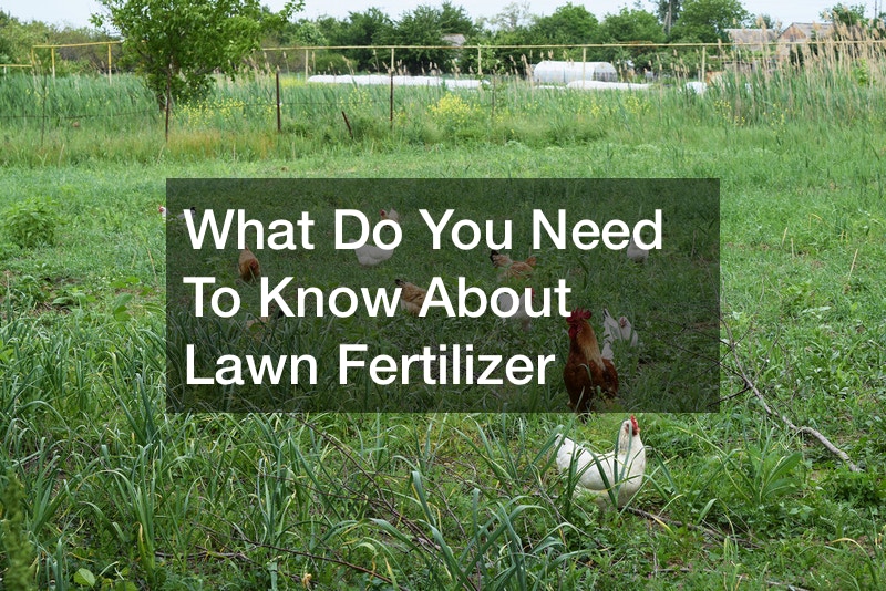 What Do You Need To Know About Lawn Fertilizer