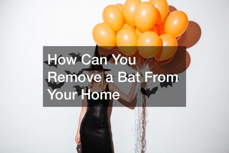 How Can You Remove a Bat From Your Home