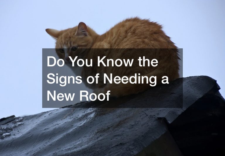 Do You Know the Signs of Needing a New Roof
