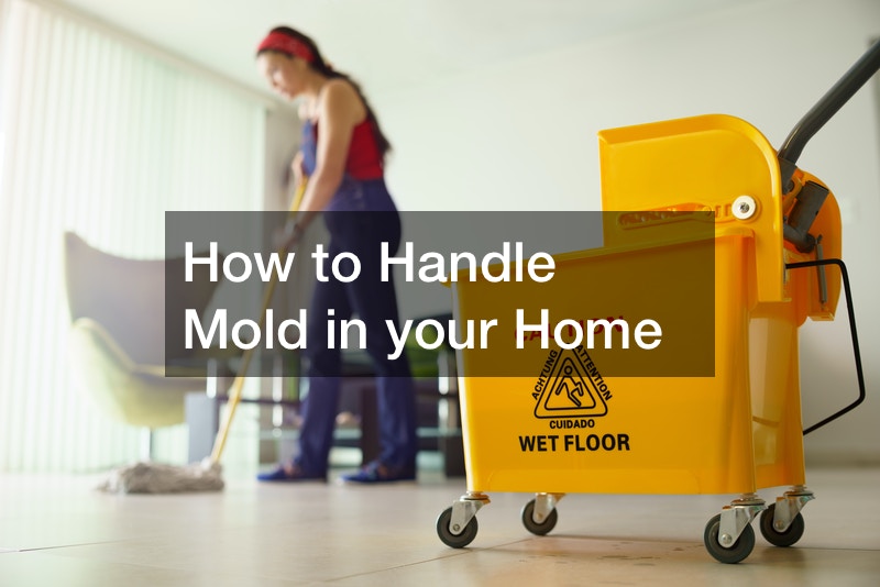 How to Handle Mold in your Home