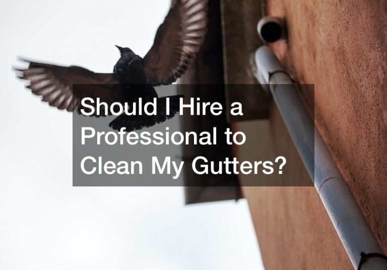 Should I Hire a Professional to Clean My Gutters?