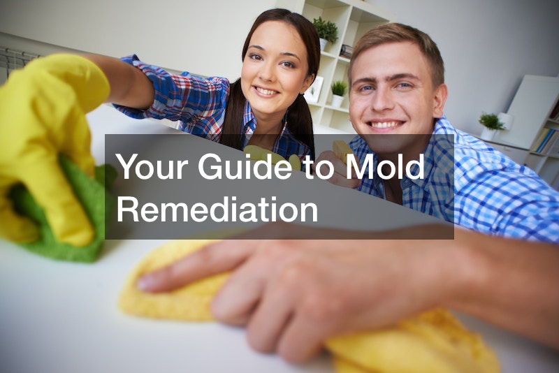 Your Guide to Mold Remediation