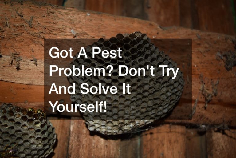 Got A Pest Problem? Don’t Try And Solve It Yourself!