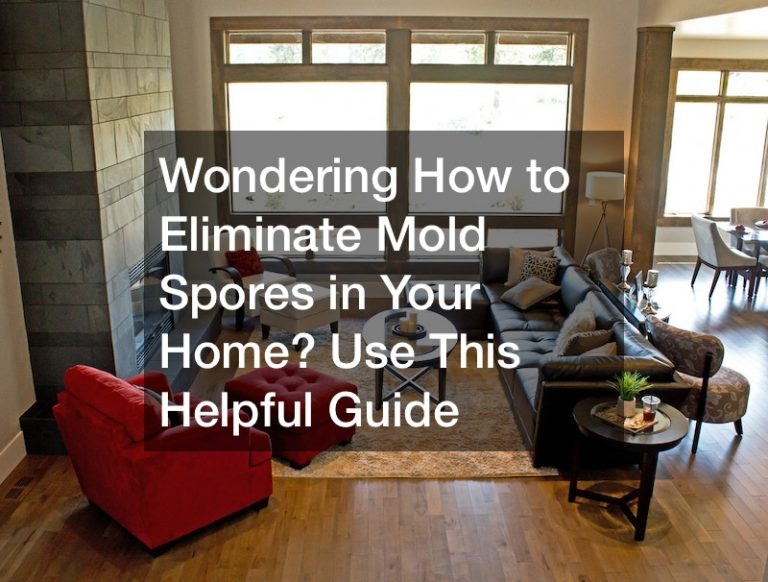 Wondering How to Eliminate Mold Spores in Your Home? Use This Helpful Guide