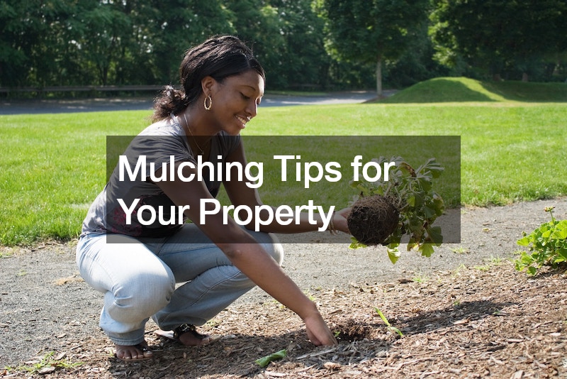 Mulching Tips for Your Property