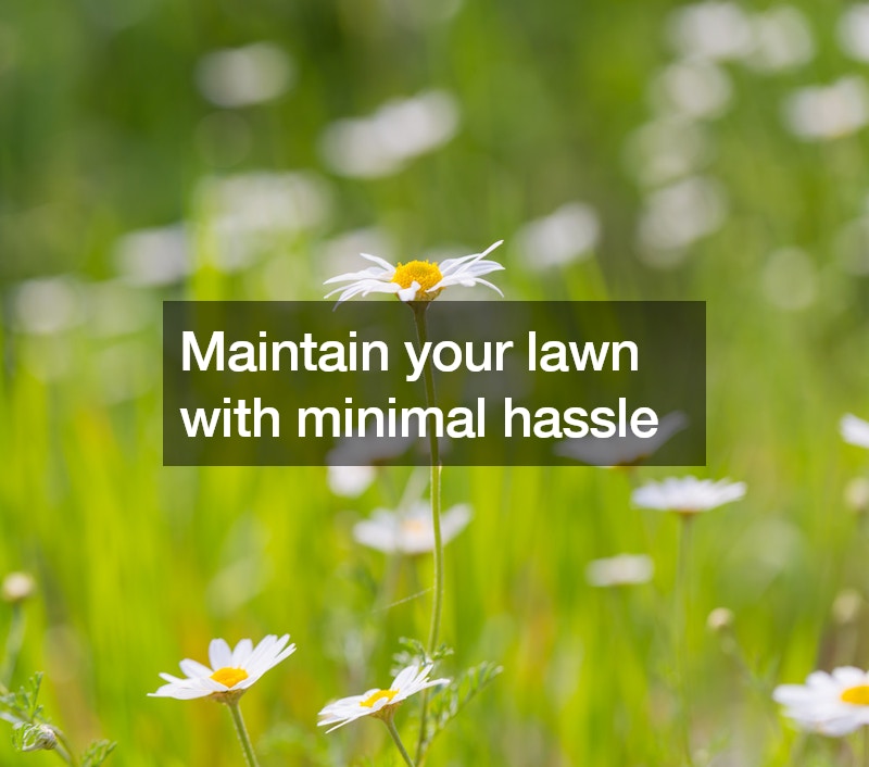 How to Make Your Lawn Safe and Family-Friendly