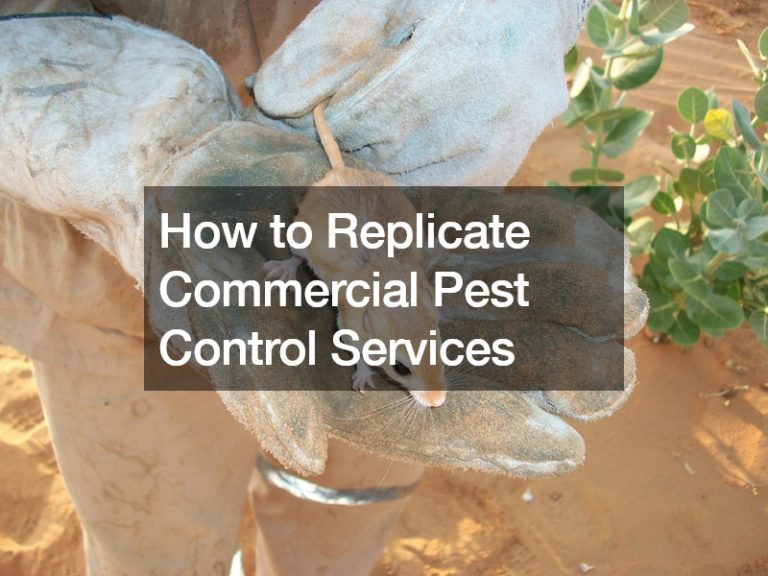 How to Replicate Commercial Pest Control Services