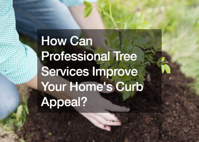 How Can Professional Tree Services Improve Your Homes Curb Appeal?