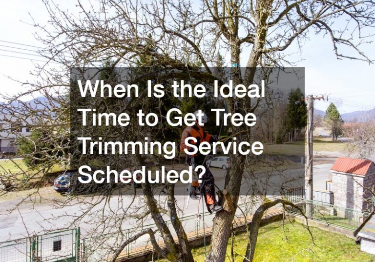 When Is the Ideal Time to Get Tree Trimming Service Scheduled?