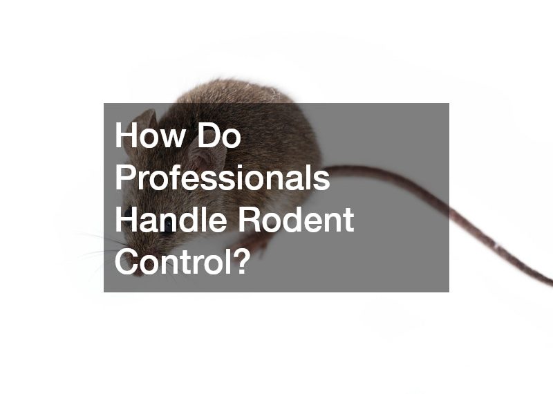 How Do Professionals Handle Rodent Control?